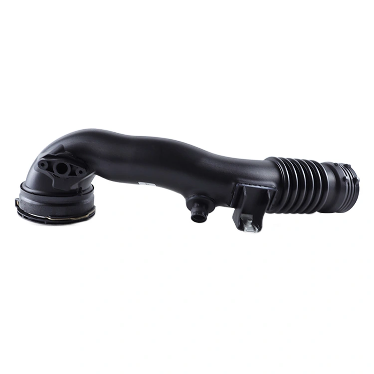 Qual è il ruolo di un'assunzione?